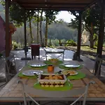 Sombra Del Laurel Valleseco