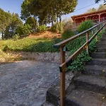 Sombra Del Laurel * Valleseco