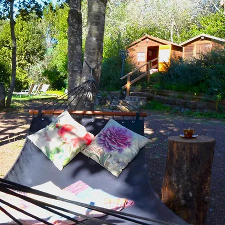 Tatil Evi Sombra Del Laurel Valleseco