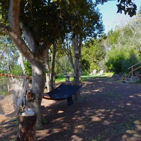 Sombra Del Laurel Tatil Evi