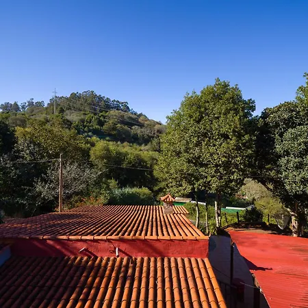 Sombra Del Laurel Tatil Evi