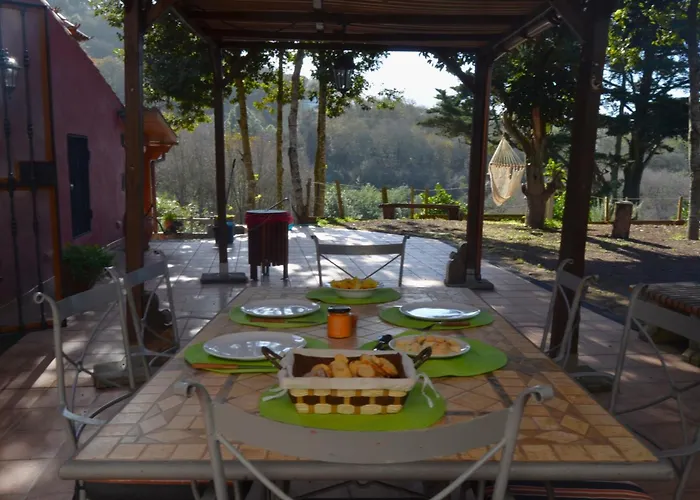 Sombra Del Laurel Valleseco