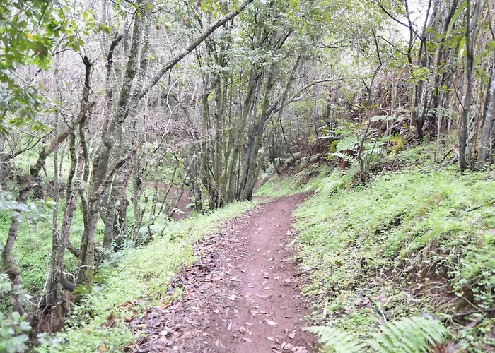 Sombra Del Laurel Dom wakacyjny