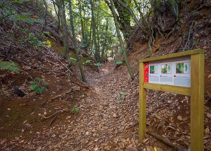 Sombra Del Laurel * Valleseco